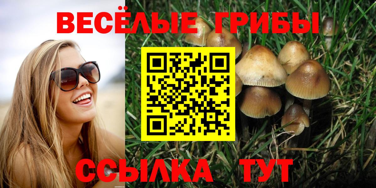 Городец  Псилоцибиновые грибы Psilocybine cubensis  Галлюциногенные грибы Psilocybine cubensis  где можно купить наркотик  Вход с VPN 